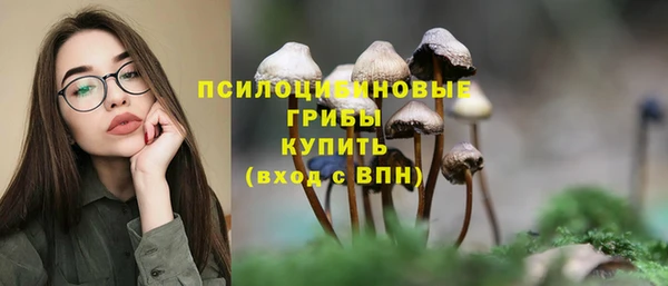 сатива Богородск