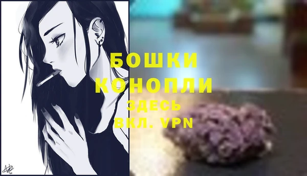 соль ск Богданович