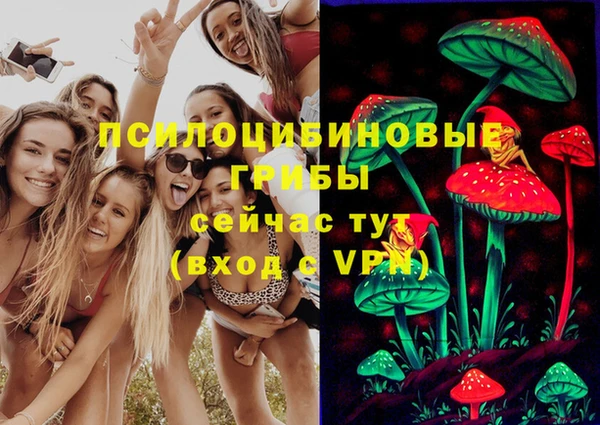 спайс Богородицк