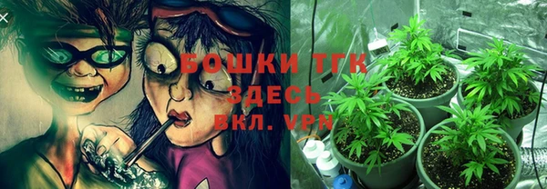 соль ск Богданович