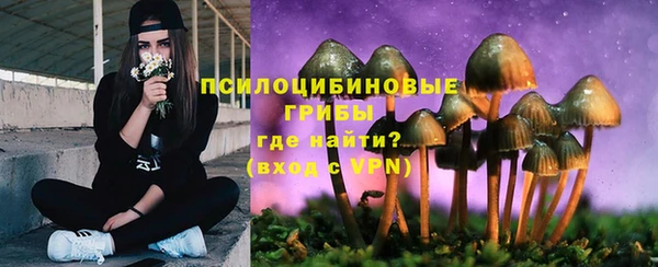 соль ск Богданович
