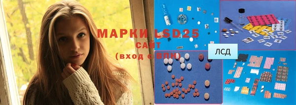 соль ск Богданович